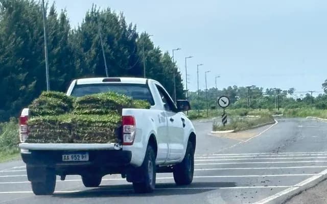 Guernica: roban una carga de césped y la camioneta tenía logos de PAMI